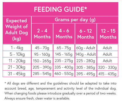 Superfood 65 ® Puppy Food - Free Range Turkey with Parsley, Papaya, Nettle, Zucchini & Pumpkin - Kibble UK - Kibble UK